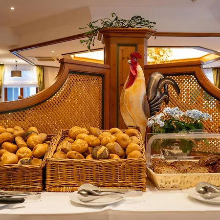 Michels Wellness- & Wohlfuehlhotel 酒店 汉格莫仁